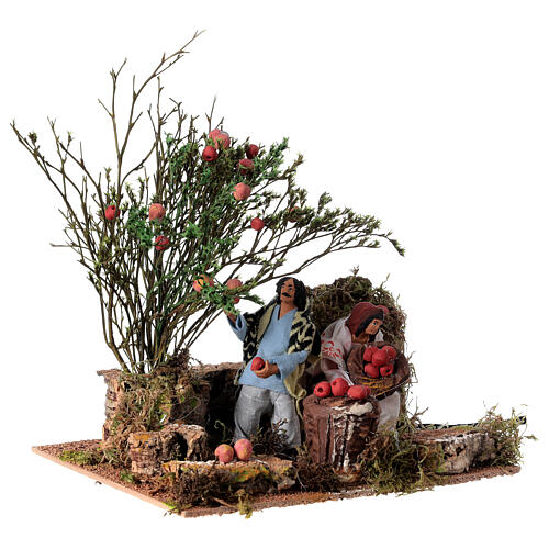 Man picking apples, 12cm animated nativity 3