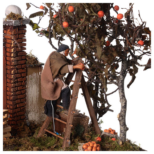 Orange picking animated scene, Neapolitan Nativity 12cm 2