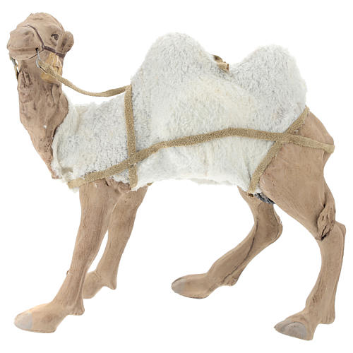 Animated camel 24cm Neapolitan Nativity 6