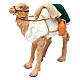 Animated camel 24cm Neapolitan Nativity s2