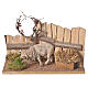 Animated Nativity scene 15cm sheep 15x15x15cm s1