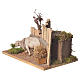 Animated Nativity scene 15cm sheep 15x15x15cm s2
