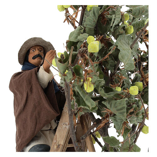 Man on ladder with tree, animated Neapolitan Nativity figurine 14cm 2