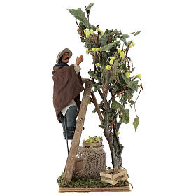Hombre sobre escalera con árbol 14 cm movimiento belén de Nápoles