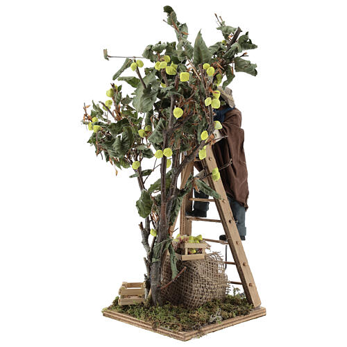 Homem com escada e árvore movimento presépio de Nápoles figuras altura média 14 cm 3