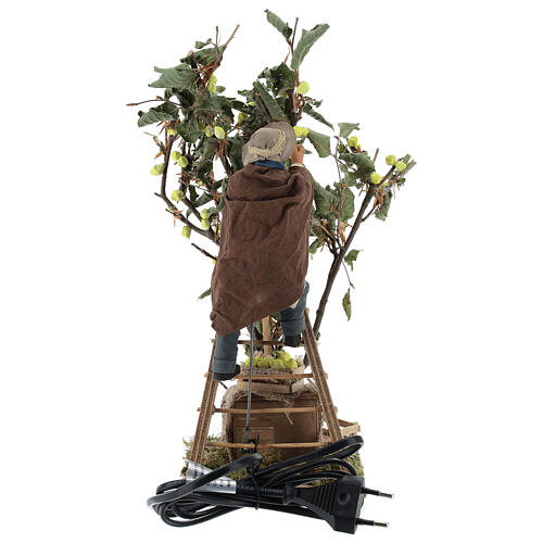 Homem com escada e árvore movimento presépio de Nápoles figuras altura média 14 cm 5
