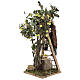 Homem com escada e árvore movimento presépio de Nápoles figuras altura média 14 cm s3