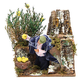 Animated nativity figurine 10cm man collecting lemons