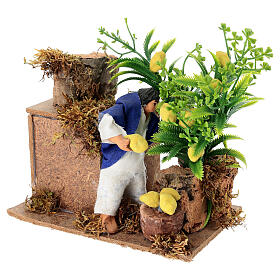 Animated nativity figurine 10cm man collecting lemons