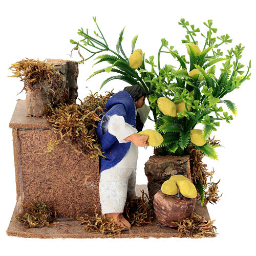 Animated nativity figurine 10cm man collecting lemons 1