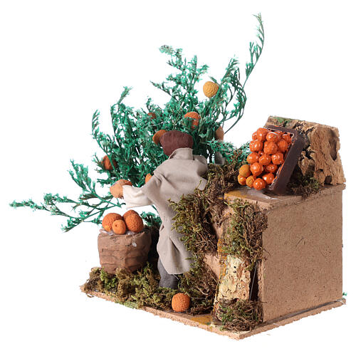 Man picking oranges measuring 10cm, animated nativity figurine 2