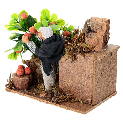 Zbierający pomarańcze szopka ruchoma 10cm 3