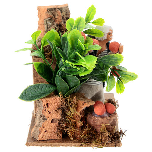 Zbierający pomarańcze szopka ruchoma 10cm 4