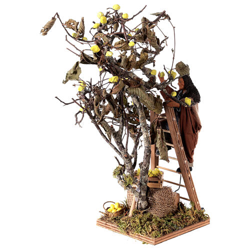 Moving man with ladder leaning on tree 12 cm Neapolitan nativity scene 3