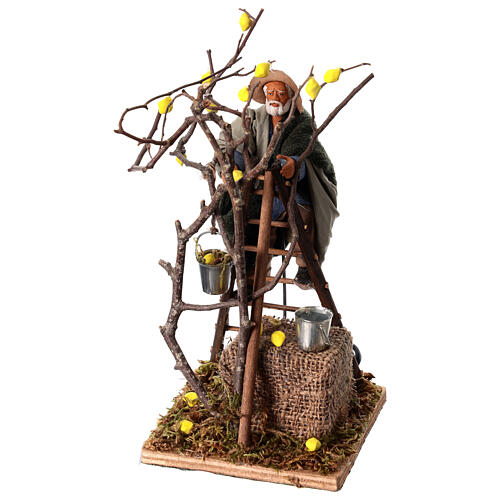 Homme sur arbre avec échelle 12 cm crèche napolitaine animée 1