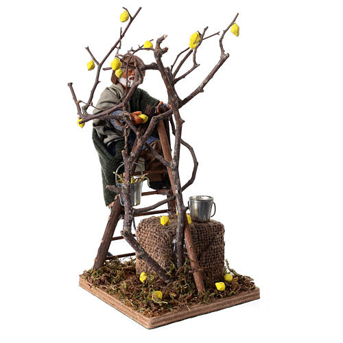 Homme sur arbre avec échelle 12 cm crèche napolitaine animée 2