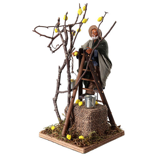 Homme sur arbre avec échelle 12 cm crèche napolitaine animée 3