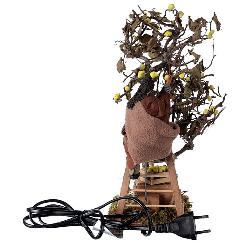 Mężczyzna na drabinie przy drzewie 12 cm z mechanizmem ruchu szopka z Neapolu 4
