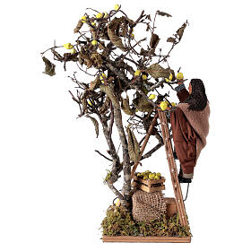 Moving man with ladder leaning on tree 12 cm Neapolitan nativity scene