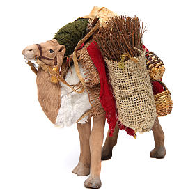 Presepe Napoletano: Cammello 12 cm con movimento presepe napoletano