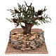 Tree with little birds and movement nativity scene s1