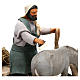 Homem escovando burro movimento presépio de Nápoles figuras altura média 14 cm s2
