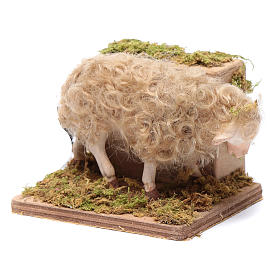 Moving sheep 24 cm for Neapolitan nativity scene