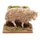 Moving sheep 24 cm for Neapolitan nativity scene s1