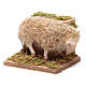Moving sheep 24 cm for Neapolitan nativity scene s2