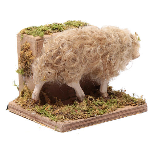 Poruszająca się figurka owieczki do szopki, 24 cm, z Neapolu 3