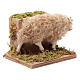 Moving sheep 24 cm for Neapolitan nativity scene s3