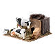 Neapolitan nativity scene moving cows with hay bale 12 cm s2