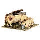 Neapolitan nativity scene moving cows with hay bale 12 cm s7