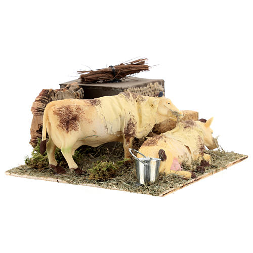 Neapolitan nativity scene moving cows with hay bale 12 cm 7
