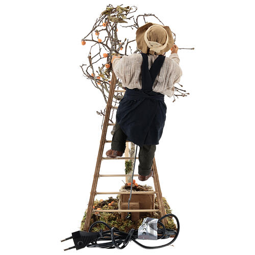 Neapolitan nativity scene man with tree and ladder in movement 24 cm 8