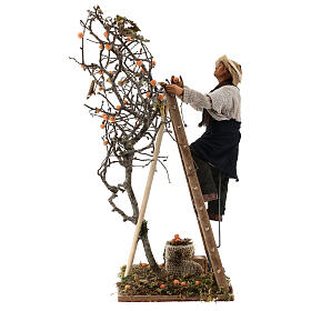 Homme grimpant sur arbre mouvement 24 cm crèche napolitaine