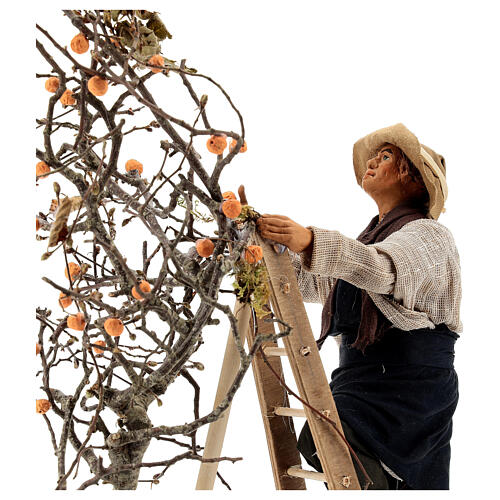 Uomo scala con albero movimento 24 cm presepe napoletano 2