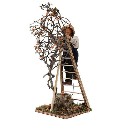 Uomo scala con albero movimento 24 cm presepe napoletano 3