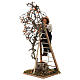 Uomo scala con albero movimento 24 cm presepe napoletano s3