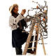 Uomo scala con albero movimento 24 cm presepe napoletano s4
