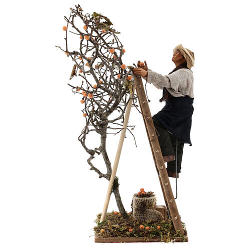 Mężczyzna na drabinie przy drzewie, ruchoma figurka szopki neapolitańskiej 24 cm 1