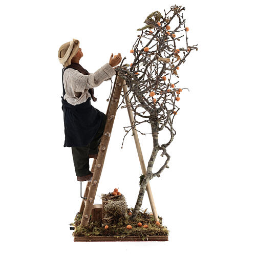 Mężczyzna na drabinie przy drzewie, ruchoma figurka szopki neapolitańskiej 24 cm 6