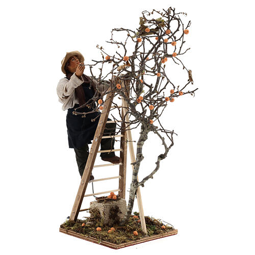 Homem com escada de mão árvore movimento 24 cm presépio napolitano 5