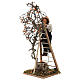 Homem com escada de mão árvore movimento 24 cm presépio napolitano s3