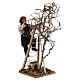 Homem com escada de mão árvore movimento 24 cm presépio napolitano s5