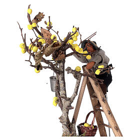 Moving man collecting lemons for Neapolitan Nativity Scene 10 cm
