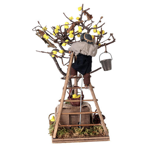 Moving man collecting lemons for Neapolitan Nativity Scene 10 cm 4