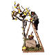 Movimento raccoglitore limoni presepe napoletano 10 cm s1