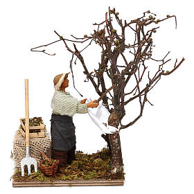 Moving man collecting olives for Neapolitan Nativity Scene 12 cm