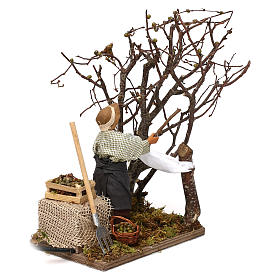 Moving man collecting olives for Neapolitan Nativity Scene 12 cm